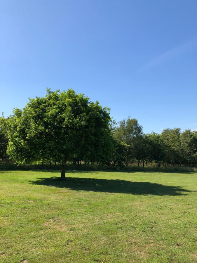 Meadows Barn Leilighet Chelmsford Eksteriør bilde